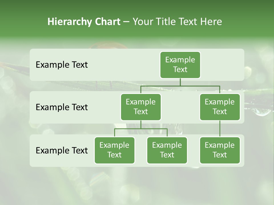 Healthcare Garden Ladybird PowerPoint Template