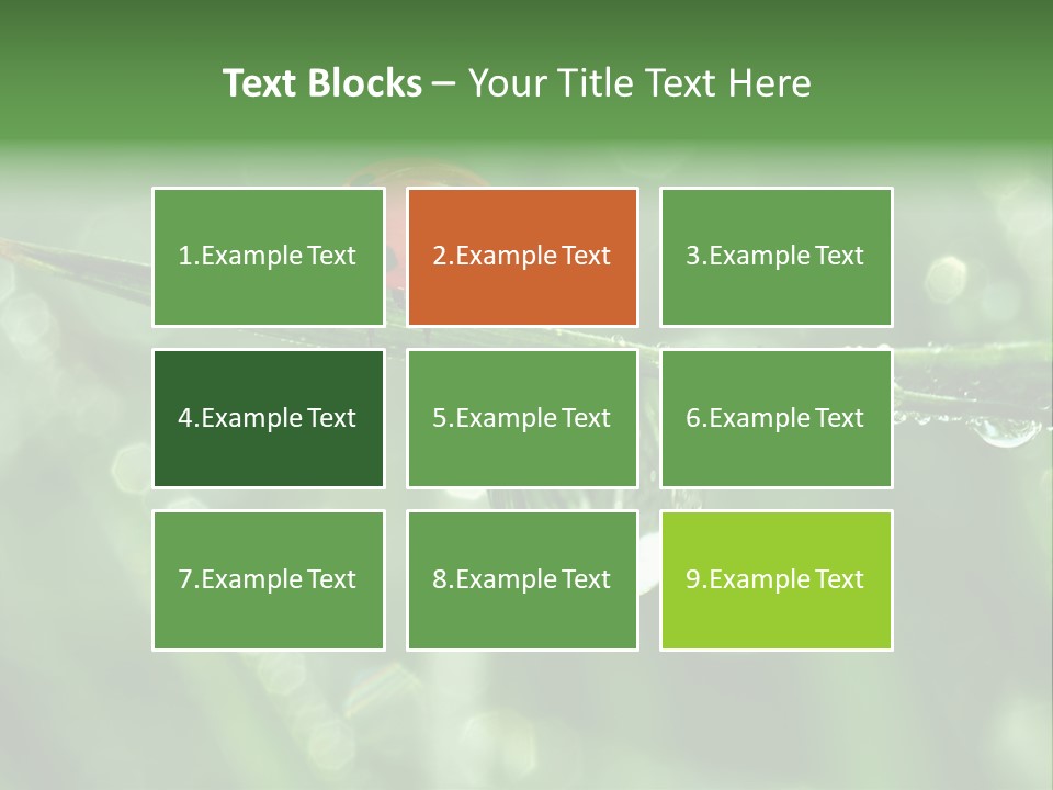 Healthcare Garden Ladybird PowerPoint Template