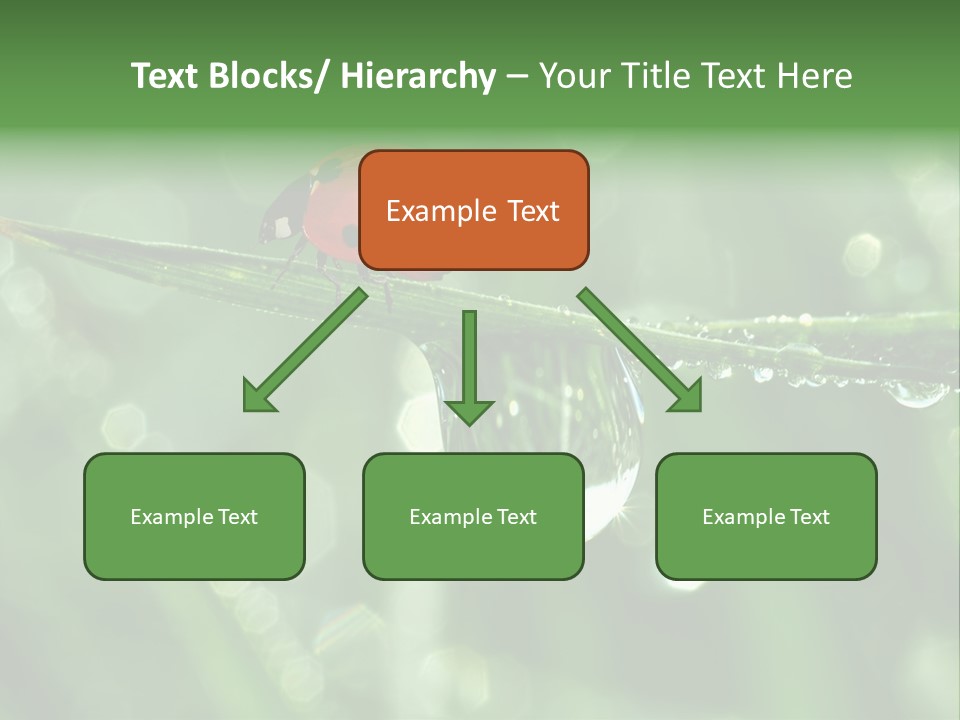 Healthcare Garden Ladybird PowerPoint Template