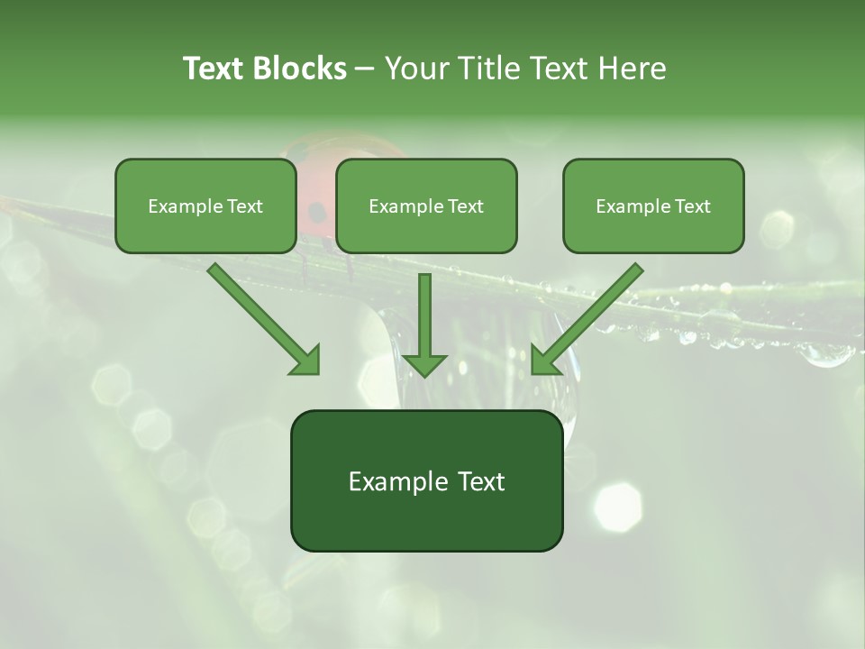 Healthcare Garden Ladybird PowerPoint Template