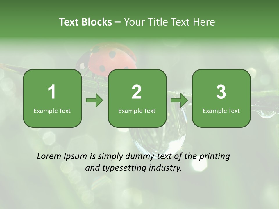Healthcare Garden Ladybird PowerPoint Template