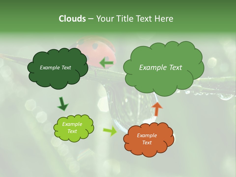 Healthcare Garden Ladybird PowerPoint Template