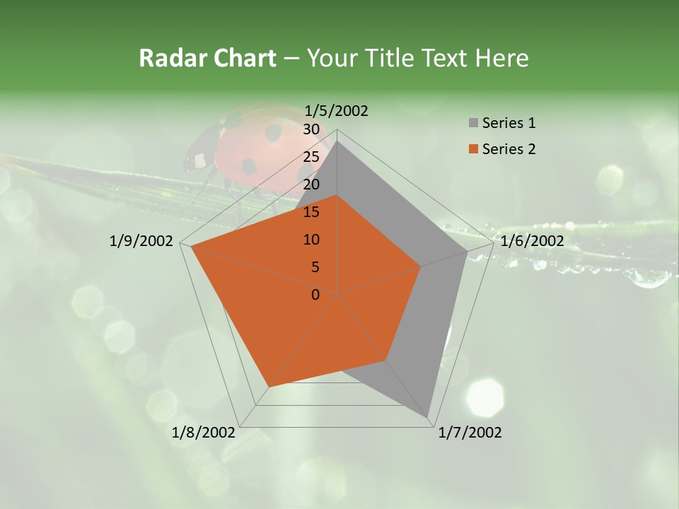 Healthcare Garden Ladybird PowerPoint Template