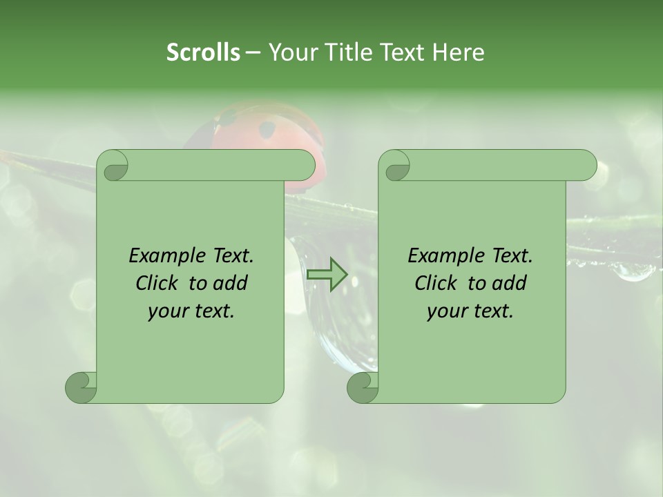 Healthcare Garden Ladybird PowerPoint Template