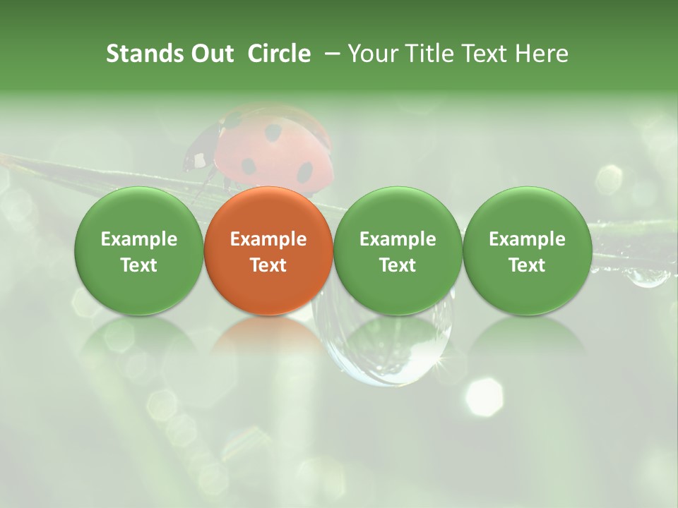 Healthcare Garden Ladybird PowerPoint Template