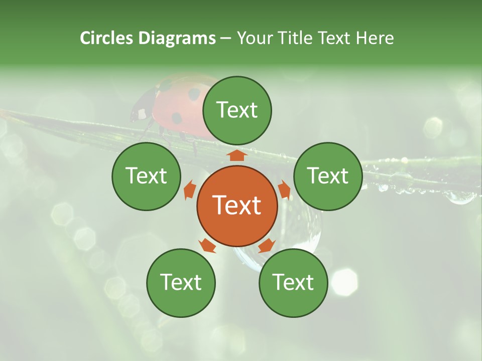 Healthcare Garden Ladybird PowerPoint Template