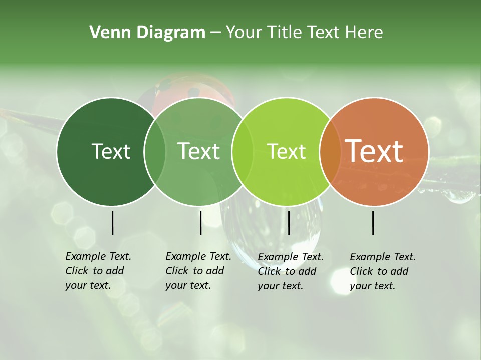 Healthcare Garden Ladybird PowerPoint Template