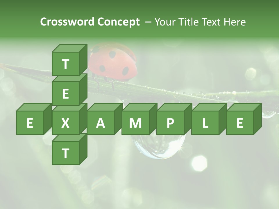 Healthcare Garden Ladybird PowerPoint Template