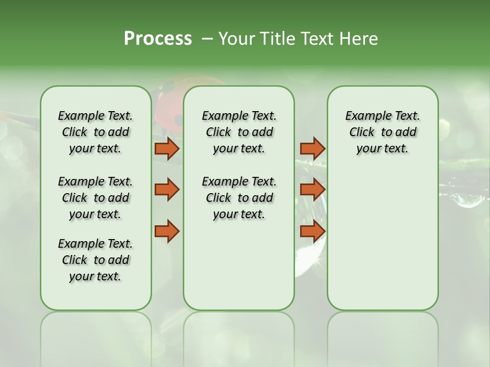 Healthcare Garden Ladybird PowerPoint Template