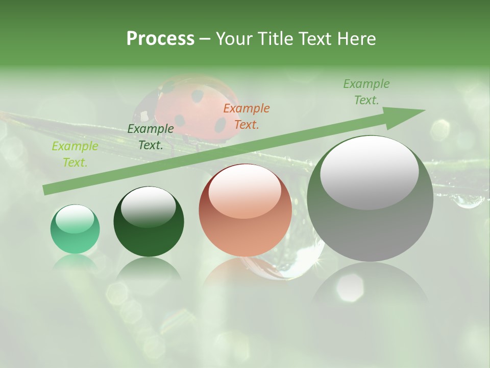 Healthcare Garden Ladybird PowerPoint Template