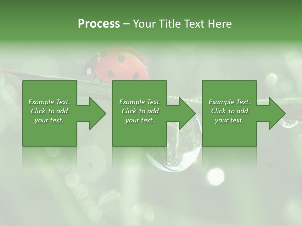 Healthcare Garden Ladybird PowerPoint Template