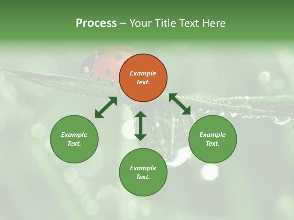 Healthcare Garden Ladybird PowerPoint Template