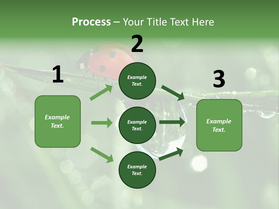 Healthcare Garden Ladybird PowerPoint Template