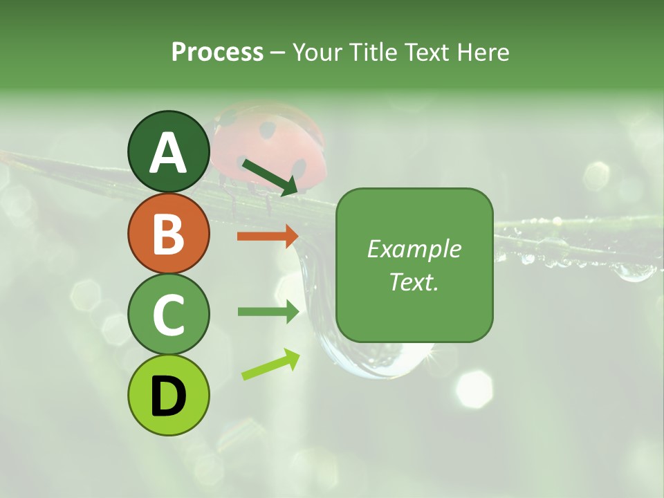 Healthcare Garden Ladybird PowerPoint Template