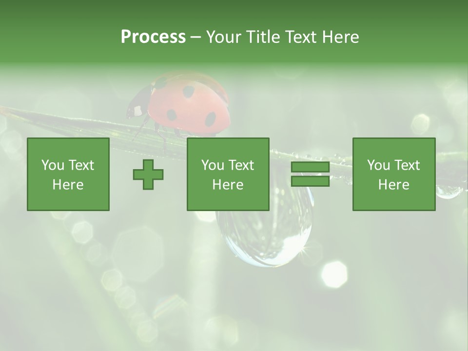 Healthcare Garden Ladybird PowerPoint Template