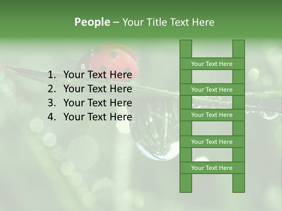 Healthcare Garden Ladybird PowerPoint Template