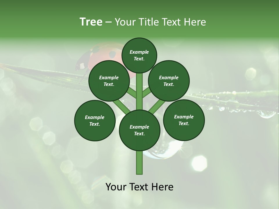 Healthcare Garden Ladybird PowerPoint Template