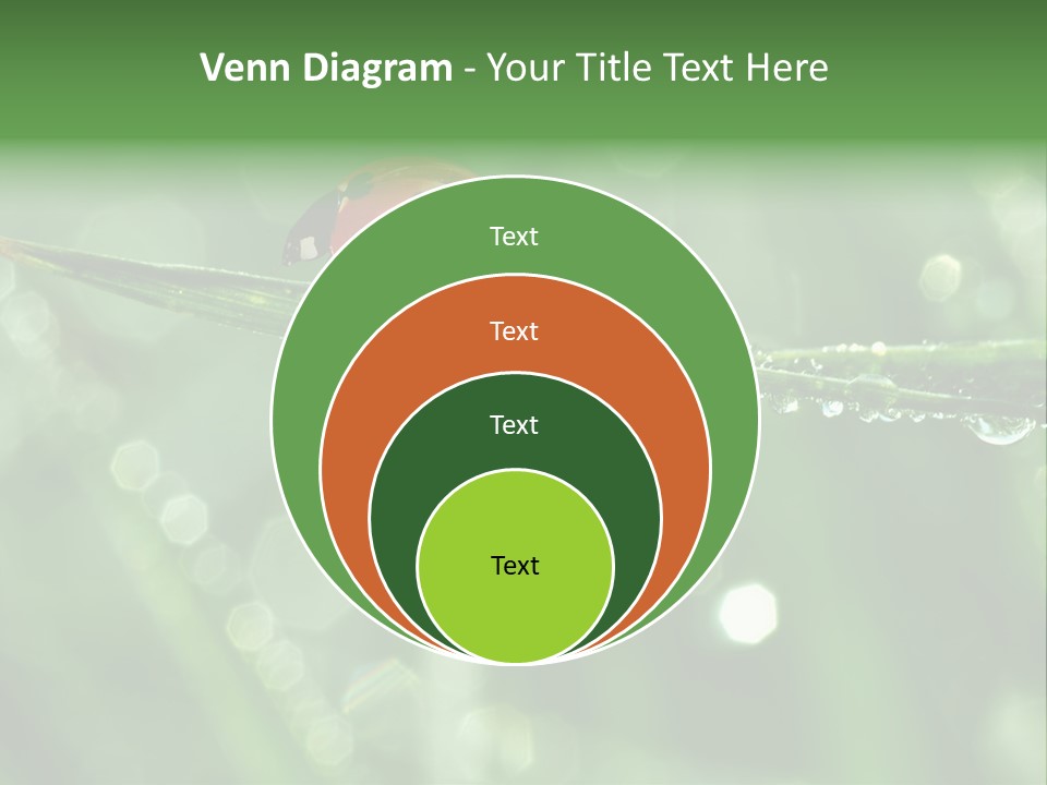 Healthcare Garden Ladybird PowerPoint Template