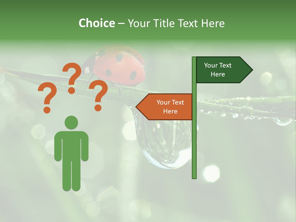 Healthcare Garden Ladybird PowerPoint Template