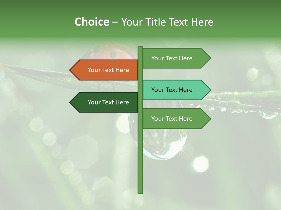 Healthcare Garden Ladybird PowerPoint Template