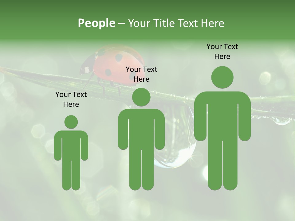 Healthcare Garden Ladybird PowerPoint Template