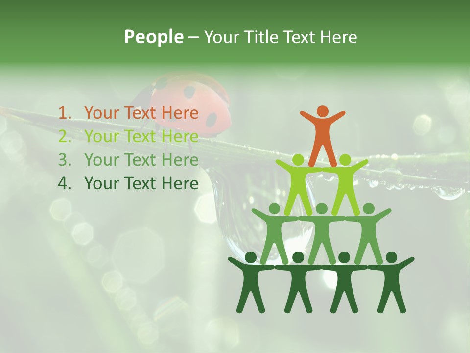 Healthcare Garden Ladybird PowerPoint Template