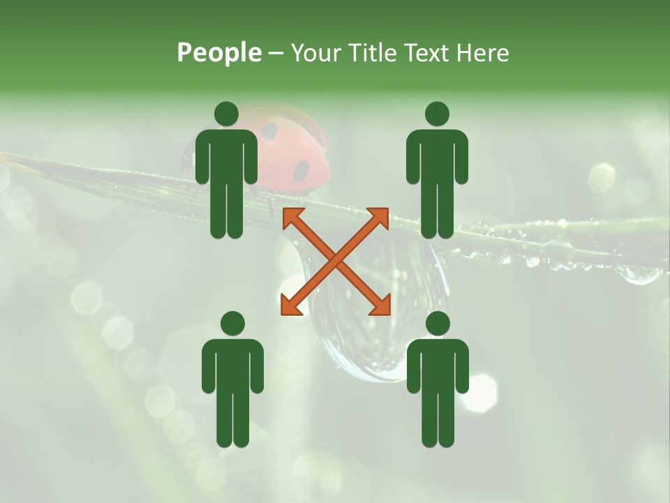 Healthcare Garden Ladybird PowerPoint Template