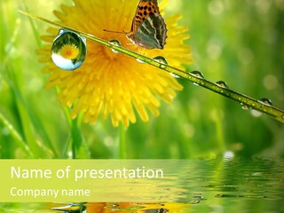 Meadow Sunrays Wave PowerPoint Template