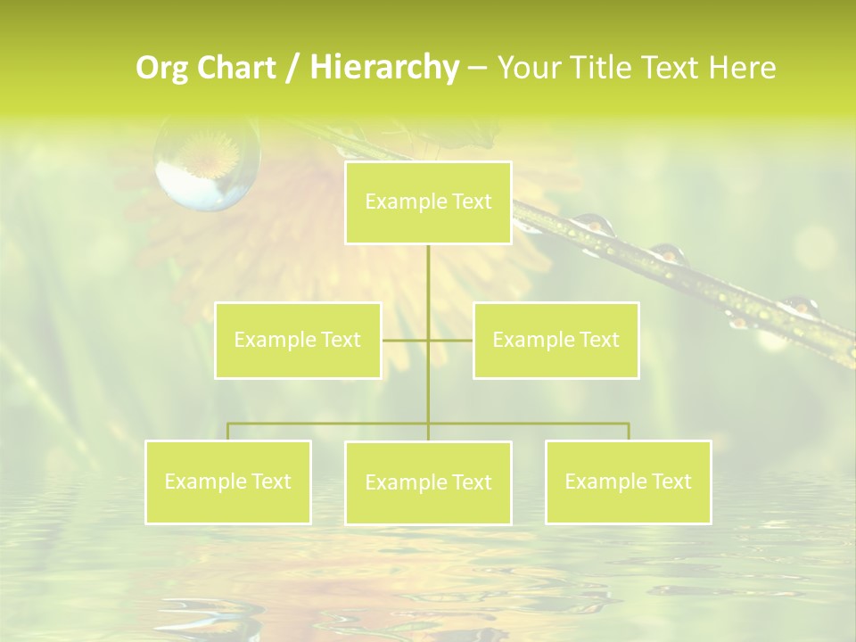 Meadow Sunrays Wave PowerPoint Template