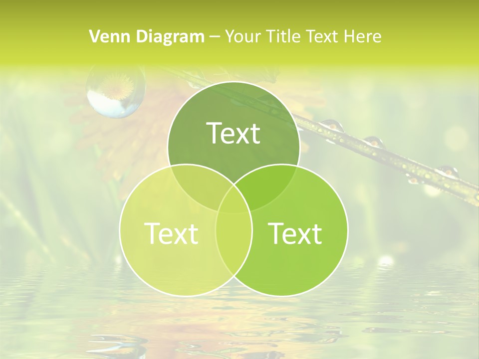 Meadow Sunrays Wave PowerPoint Template