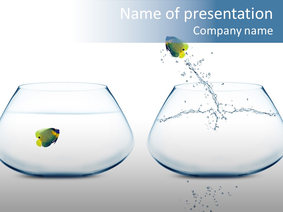 Tank Opportunity Swim PowerPoint Template