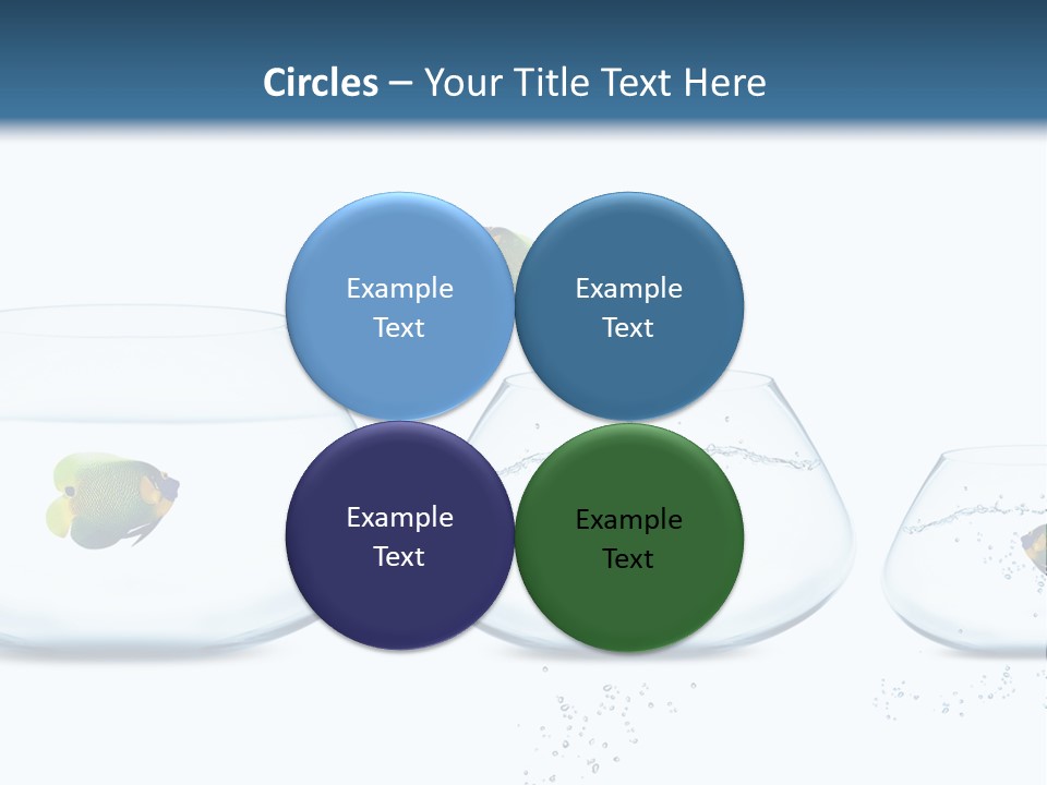 Motion Creative Aquarium PowerPoint Template