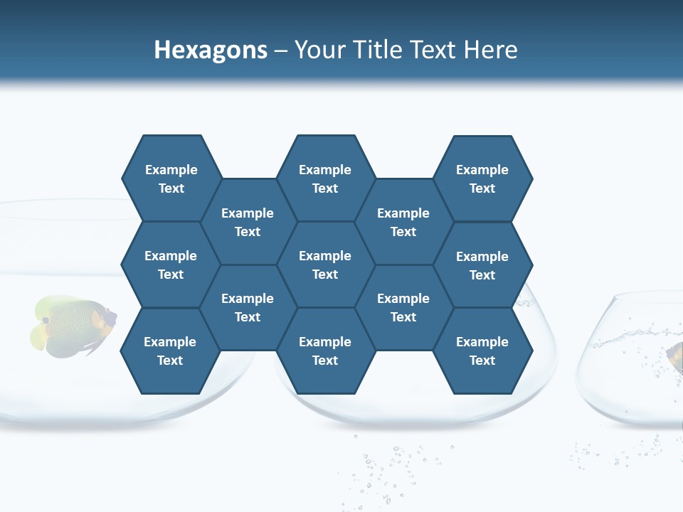 Motion Creative Aquarium PowerPoint Template