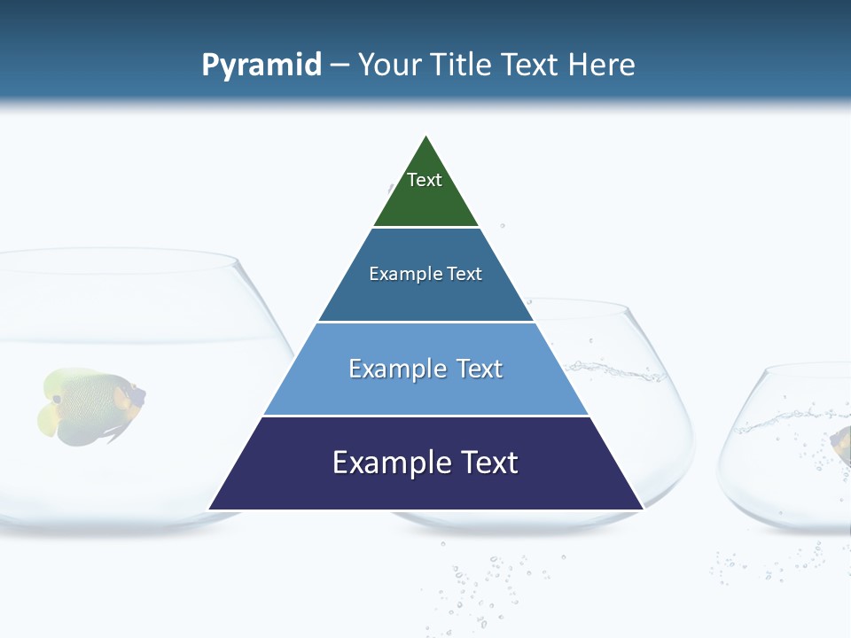 Motion Creative Aquarium PowerPoint Template