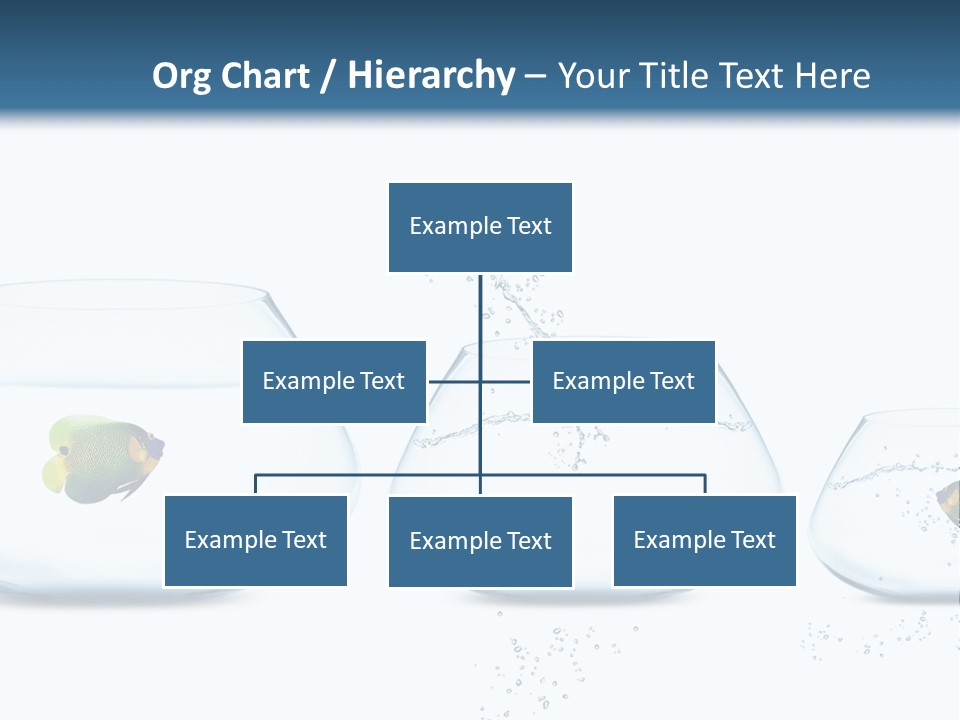 Motion Creative Aquarium PowerPoint Template