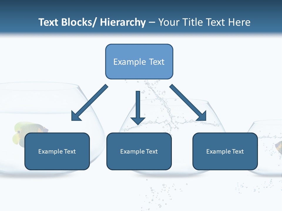 Motion Creative Aquarium PowerPoint Template