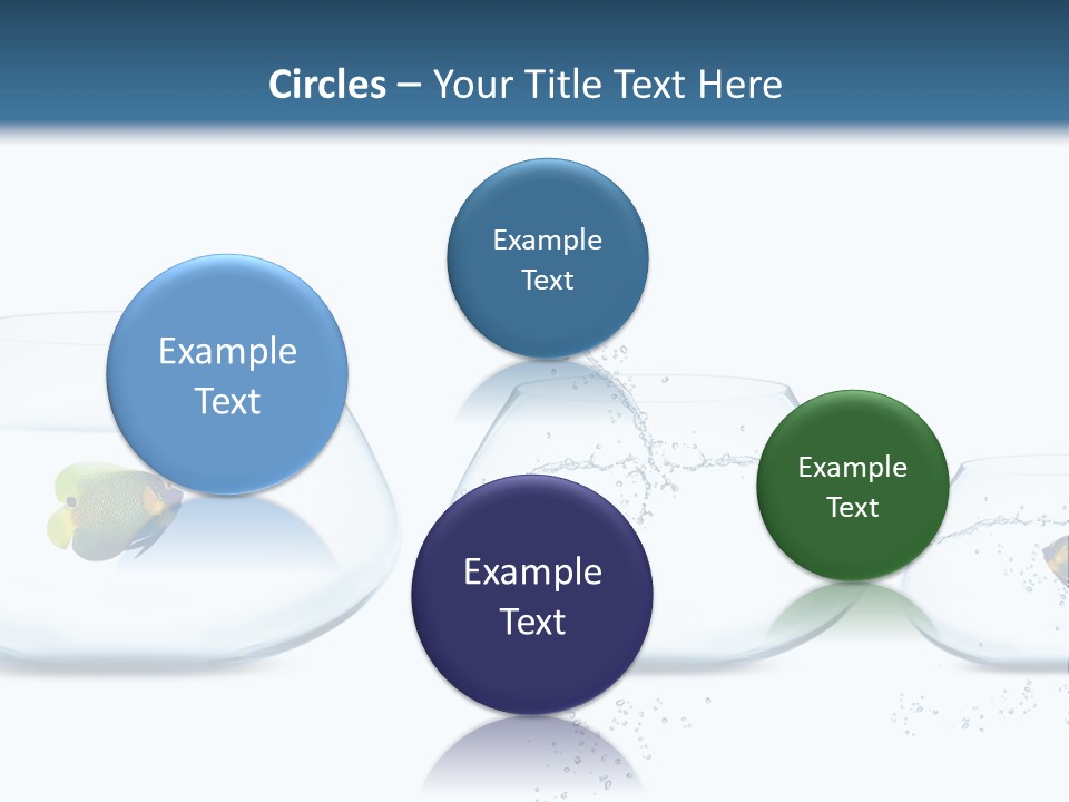 Motion Creative Aquarium PowerPoint Template