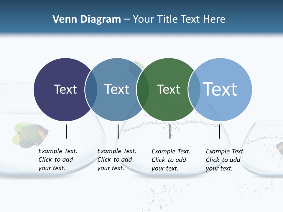 Motion Creative Aquarium PowerPoint Template