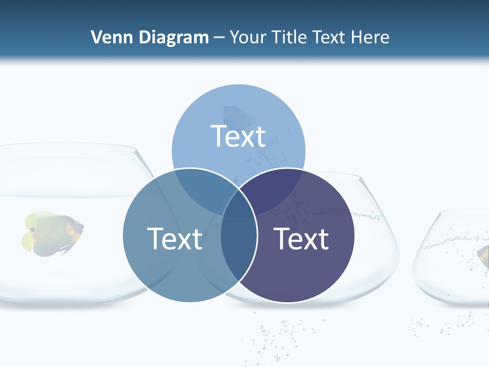 Motion Creative Aquarium PowerPoint Template