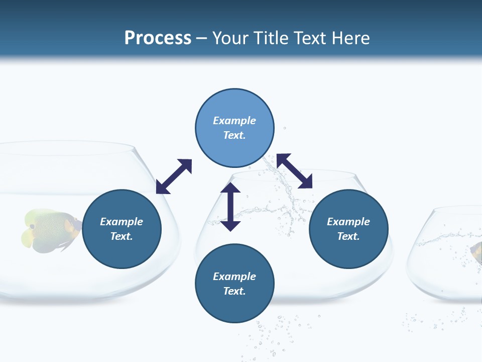 Motion Creative Aquarium PowerPoint Template