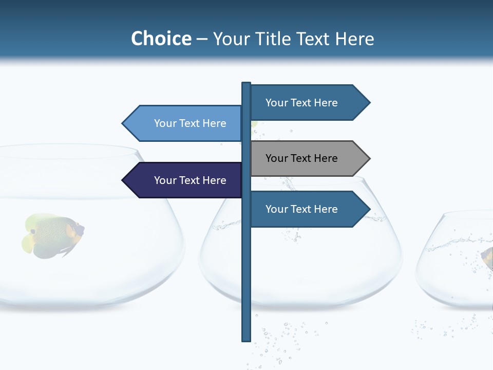 Motion Creative Aquarium PowerPoint Template