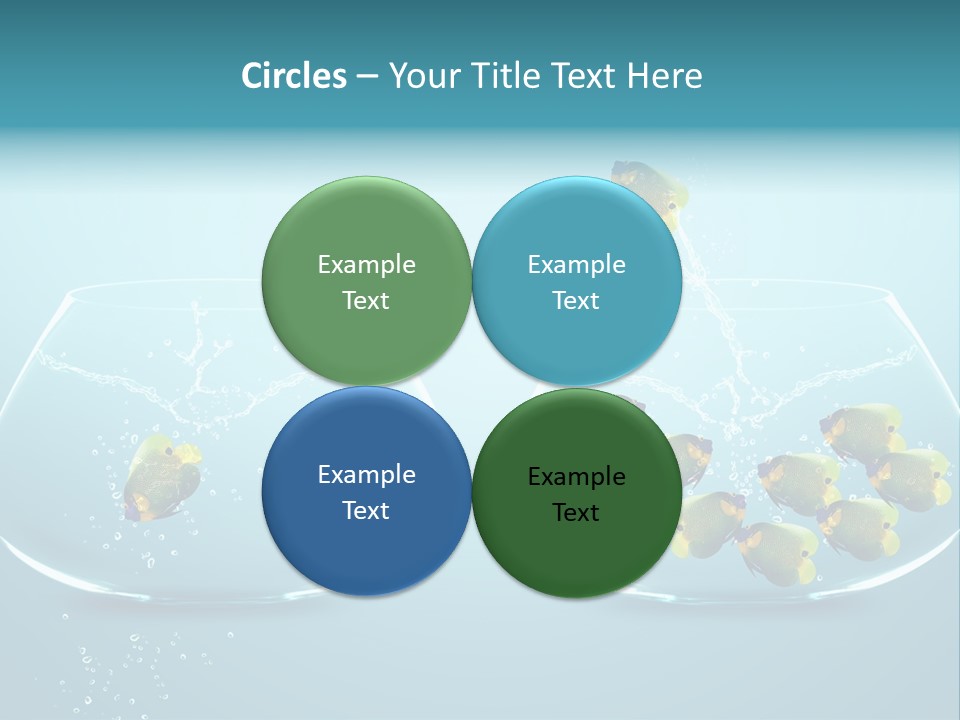 Pet Water Big Offer PowerPoint Template