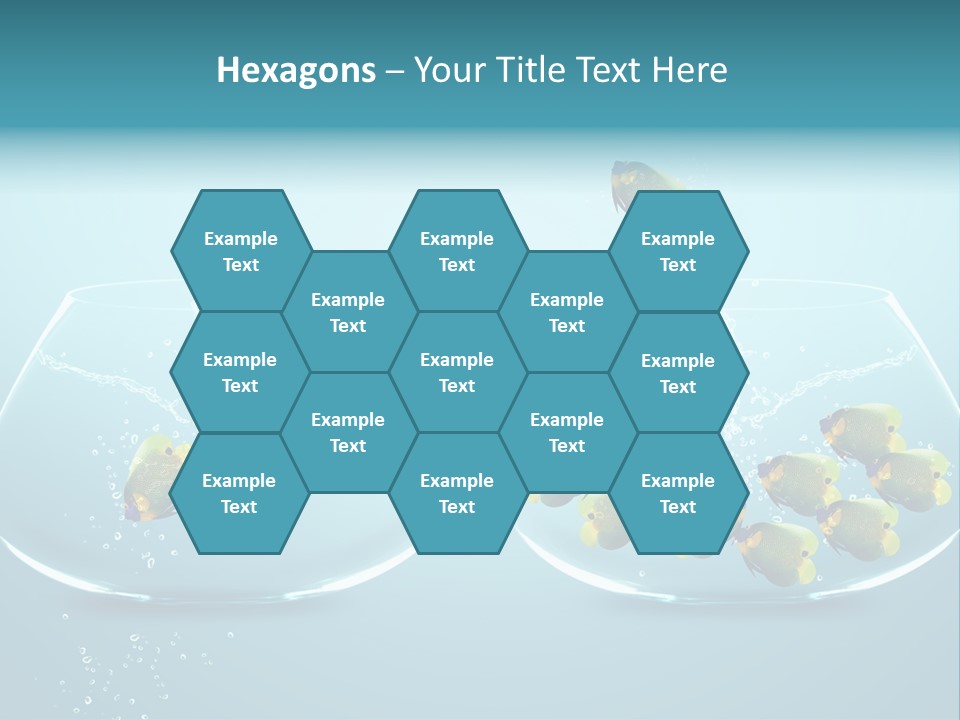 Pet Water Big Offer PowerPoint Template