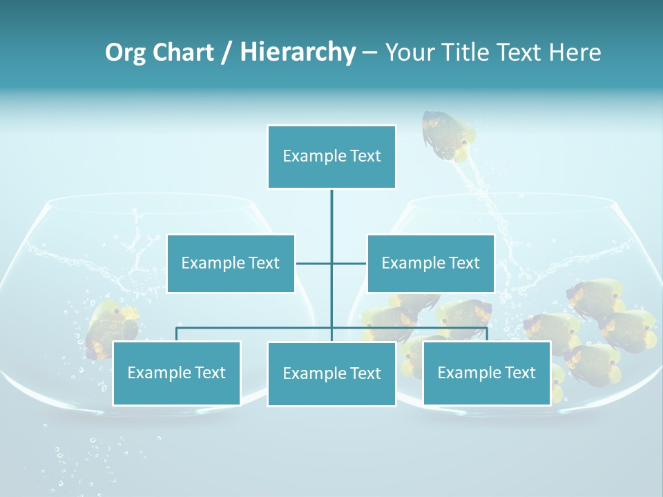 Pet Water Big Offer PowerPoint Template