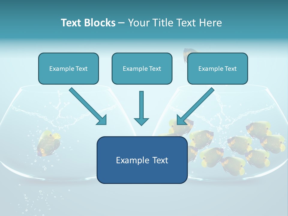 Pet Water Big Offer PowerPoint Template