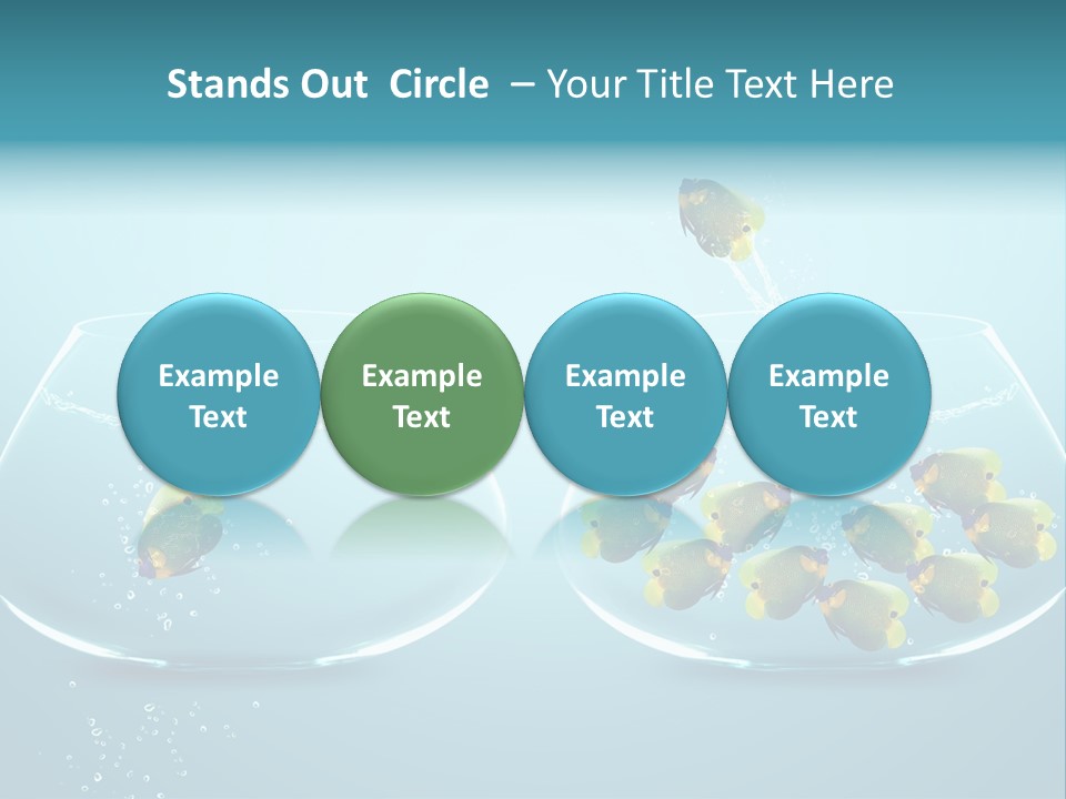 Pet Water Big Offer PowerPoint Template