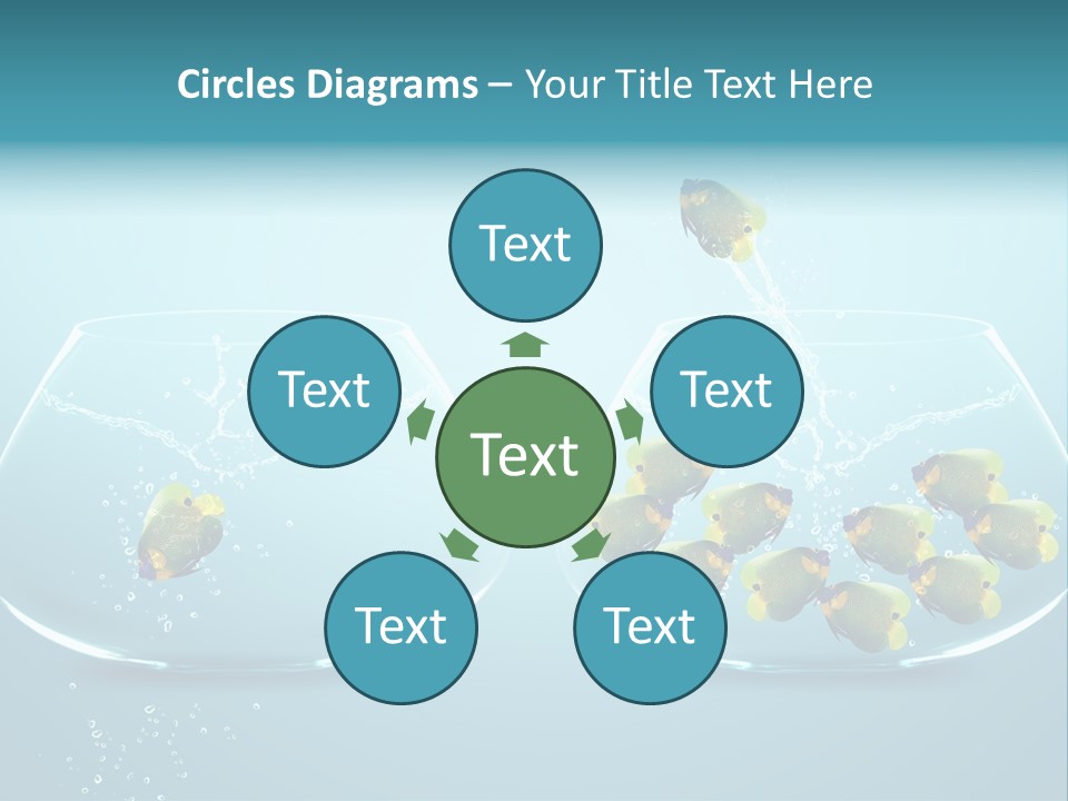 Pet Water Big Offer PowerPoint Template