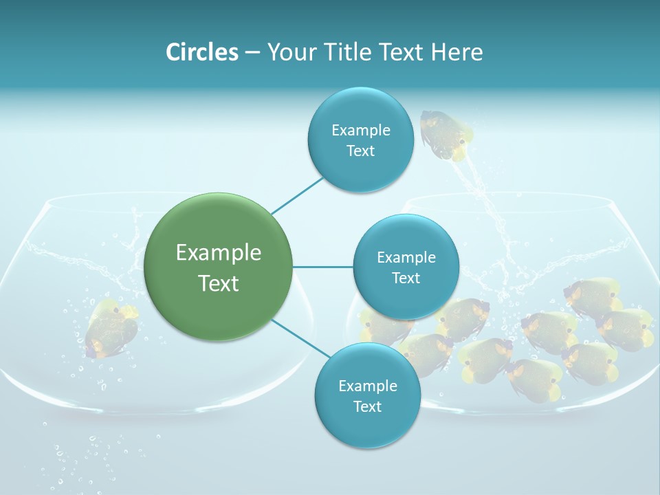 Pet Water Big Offer PowerPoint Template