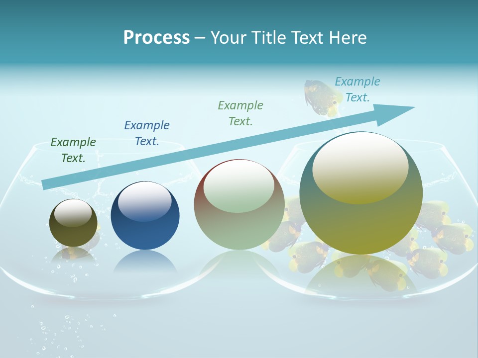 Pet Water Big Offer PowerPoint Template