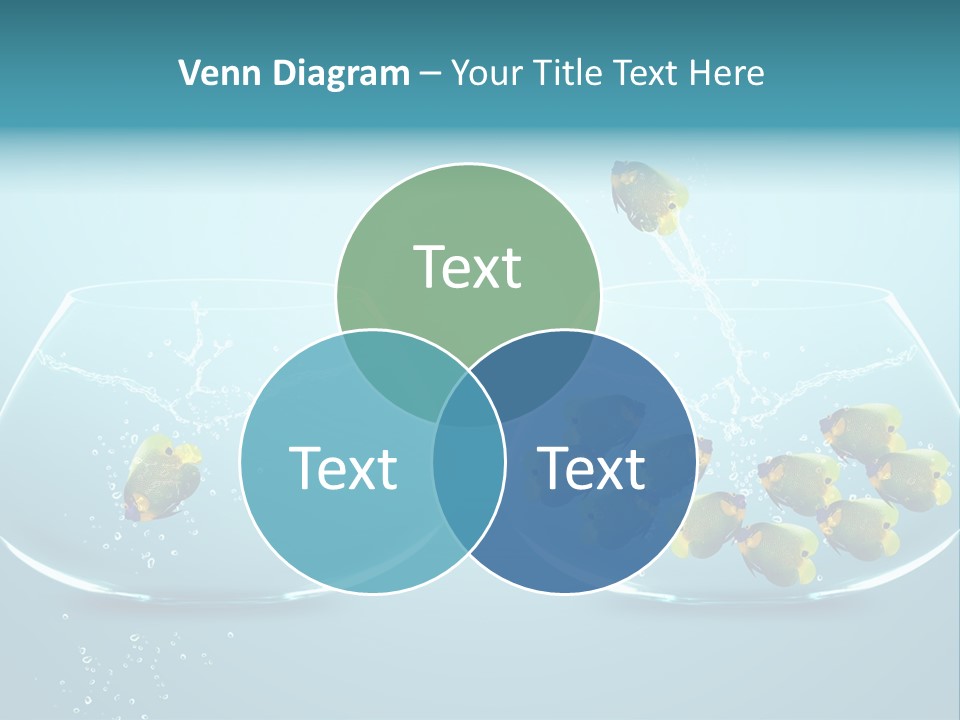 Pet Water Big Offer PowerPoint Template